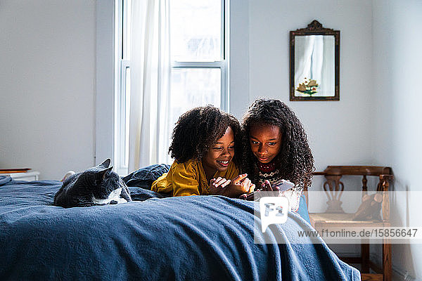 Lächelnde Mädchen  die ein Mobiltelefon benutzen  während sie zu Hause von einer Katze auf dem Bett liegen