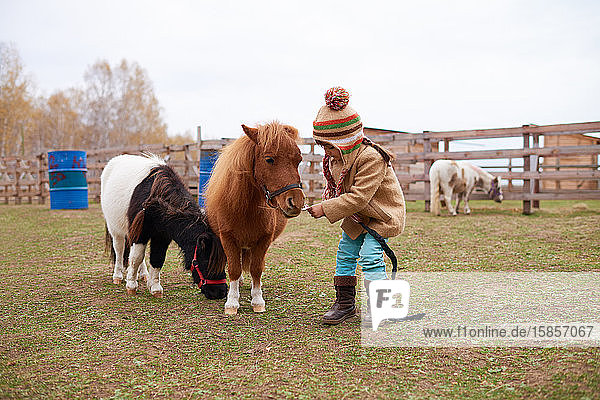Mädchen geht mit süßen kleinen Ponys spazieren
