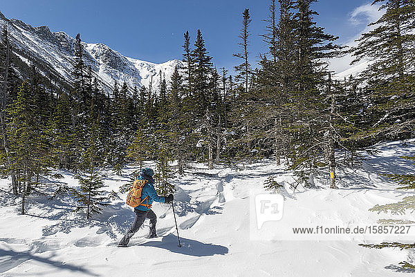 A young woman hiking on a sunny  snowy winter day in the White Mountains of New Hampshire.