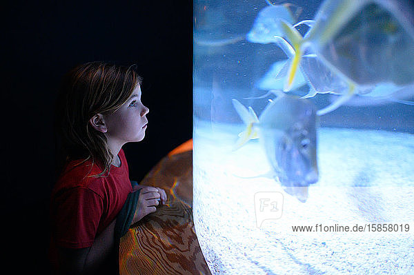 Profil eines Jungen in rotem Hemd beim Betrachten eines Aquariums