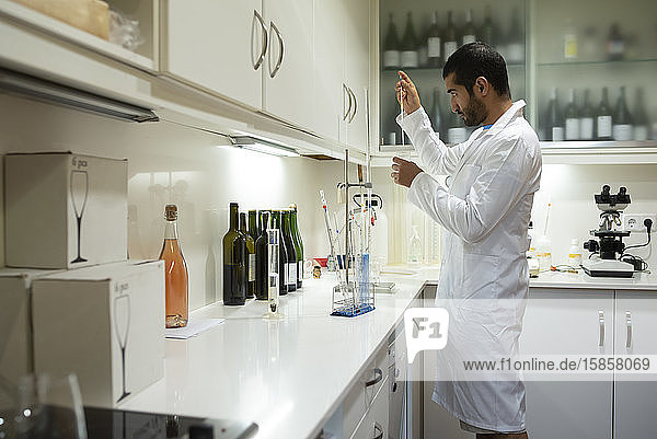 Arabischer Winzer  der im Weinlabor arbeitet und weiße Kittel und Handschuhe trägt.