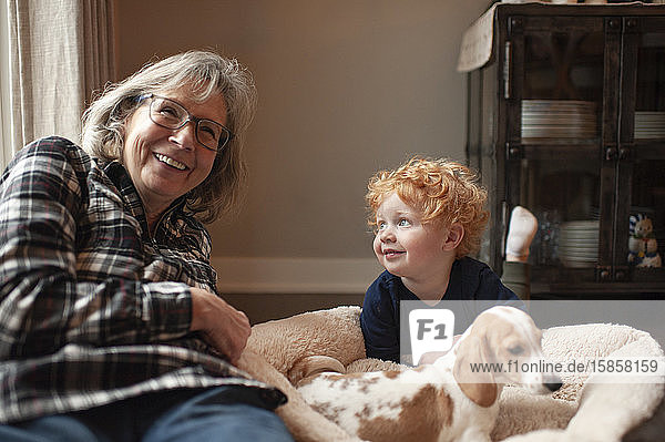 Großmutter und Enkel lachen  während sie zu Hause neben dem Welpen liegen
