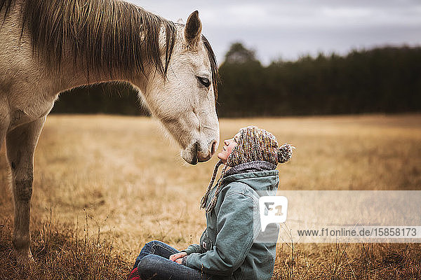 Pferd und Mädchen sehen sich im Herbst auf dem Feld an