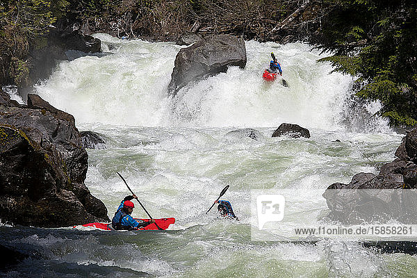 Three whitewater kayakers paddle down the Callaghan Creek in Whistler.