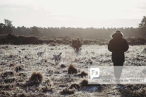 Rückansicht eines Mannes  der an einem kalten Morgen mit zwei Hunden auf dem Land spazieren geht