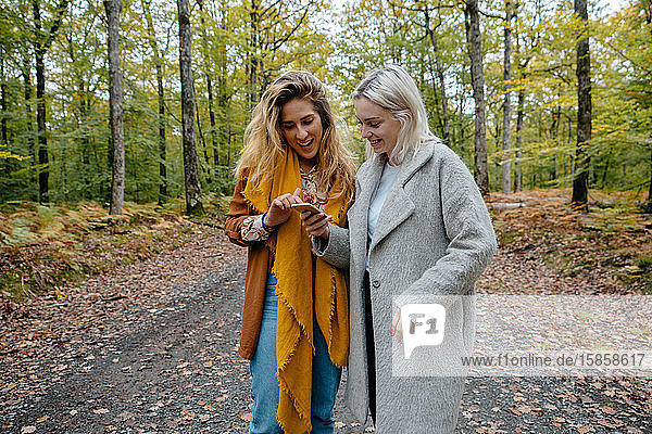 Frauen sehen sich ein Streaming-Video in einem abgelegenen Wald auf einem Smartphone an