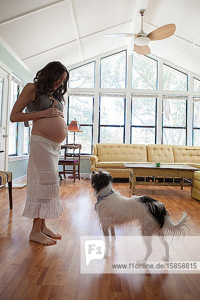 Schwangere Frau mit ihrem Hund