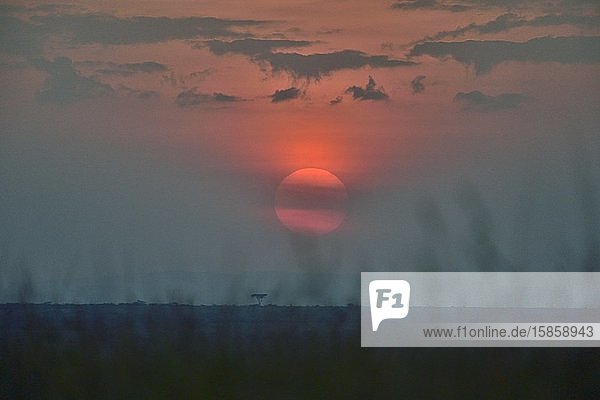 Sunrise over the savannah