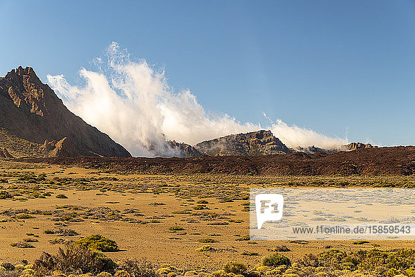 Teide-Nationalpark mit Sand  Kakteen und roten Felsen vulkanische Formation