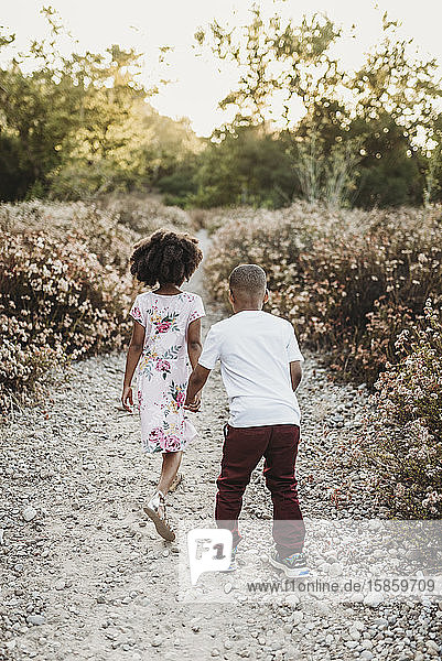 Behind view of brother and sister holding hands and running in flowers