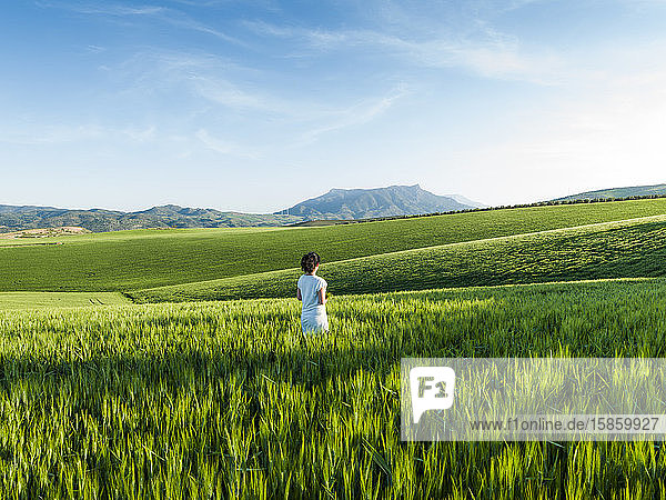 Frau auf einem Getreidefeld in Ardales  Malaga  Spanien