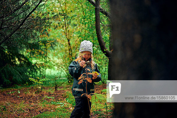 Aktives Mädchen in warmer Kleidung spielt mit kleinem dünnen Baum im Wald