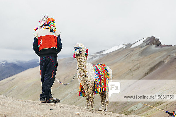 Ein einheimischer Peruaner steht in Peru in der Nähe eines Lamas mit Sonnenbrille
