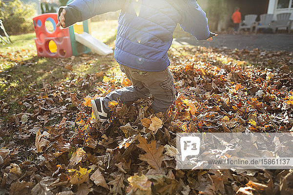 Leiche eines Kindes  das im Herbst draußen in einem Haufen heruntergefallener Blätter spielt