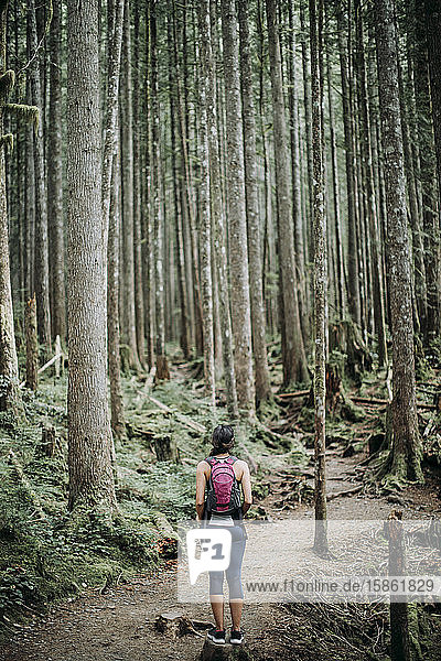 Eine Wanderin mit einer Meute steht auf einem Pfad in einem dichten Wald