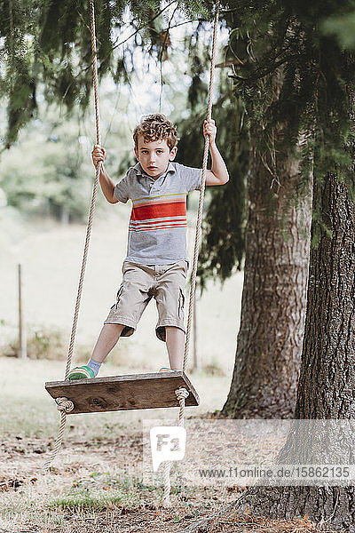Vertical front view of boy standing on swing under pine trees