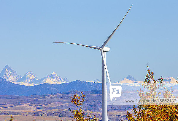 Wind turbines in field against blue sky and mountains