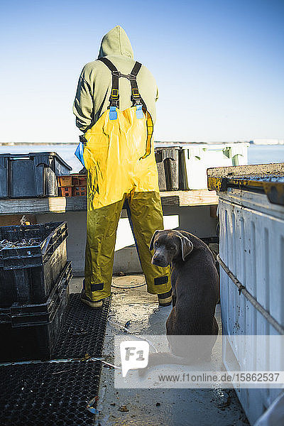 Bootshund hofft auf Köderfisch
