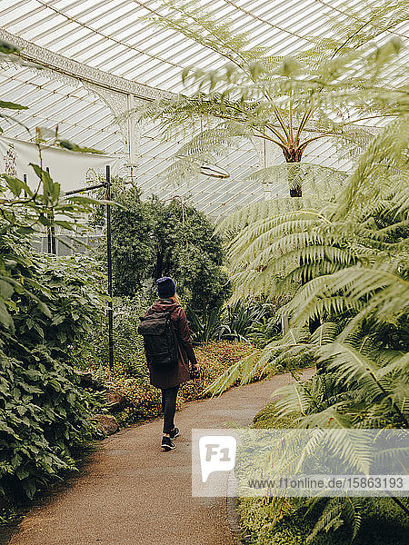 Frau wandert durch die Botanischen Gärten des Kibble Palace
