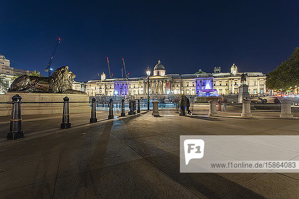 Trafalgar-Platz bei Nacht mit der Nationalgalerie im Hintergrund