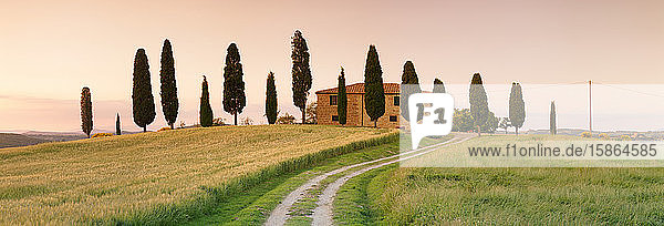 Bauernhaus mit Zypressen bei Sonnenuntergang  in der Nähe von Pienza  Val d'Orcia (Orcia-Tal)  UNESCO-Weltkulturerbe  Provinz Siena  Toskana  Italien  Europa