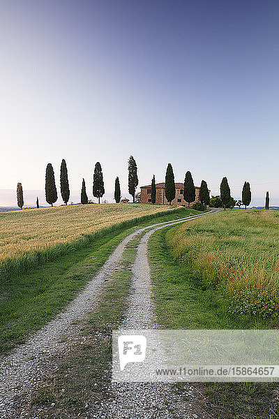 Farm house with cypress trees  near Pienza  Val d'Orcia (Orcia Valley)  UNESCO World Heritage Site  Siena Province  Tuscany  Italy  Europe