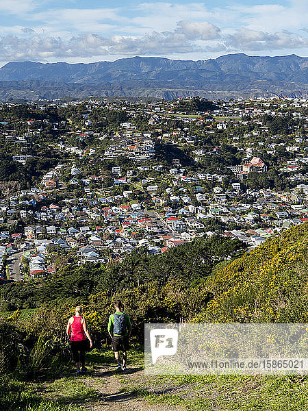 Suburbs and Rimutaka Ranges from Kingston with couple on walking track  Wellington  North Island  New Zealand  Pacific