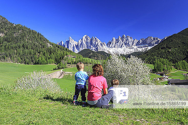 Family on green meadows admires the flowering trees at the foot of Odle  Funes Valley  South Tyrol  Dolomites  Italy  Europe