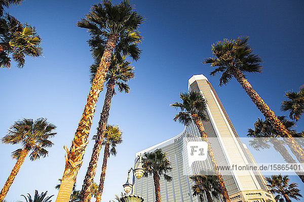 Mandalay Bay Casino  Las Vegas  Nevada  Vereinigte Staaten von Amerika  Nordamerika