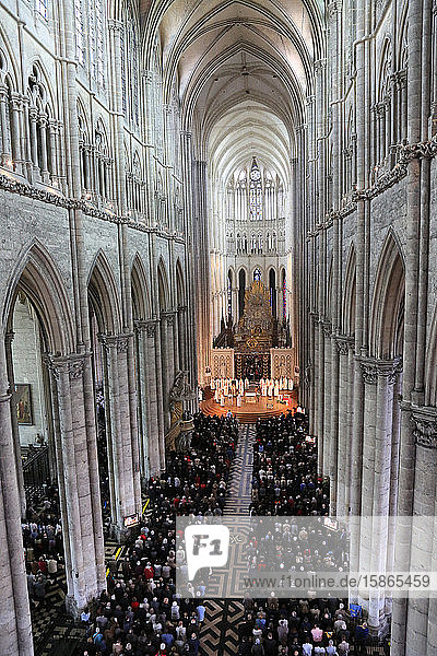 Bischof Olivier Leborgne  Bischof der Diözese Amiens  Bischofsweihe  Kathedrale von Amiens  UNESCO-Weltkulturerbe  Picardie  Frankreich  Europa