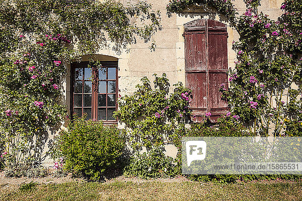 Sitting on the banks of the river Allier  this rose covered house is found in the beautiful village of Apremont-sur-Allier  Cher  Centre  France  Europe