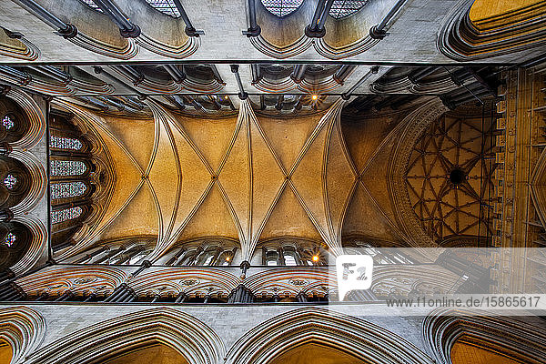 A detail of the ceiling in Salisbury Cathedral  Salisbury  Wiltshire  England  United Kingdom  Europe