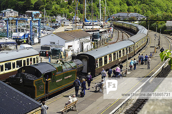 Dampfzug  Kingswear  Devon  England  Vereinigtes Königreich  Europa