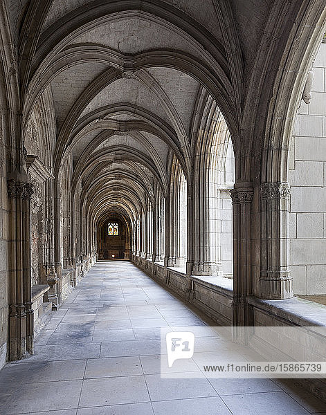 Looking along the cloisters of St. Gatien Cathedral in Tours  Indre-et-Loire  France  Europe