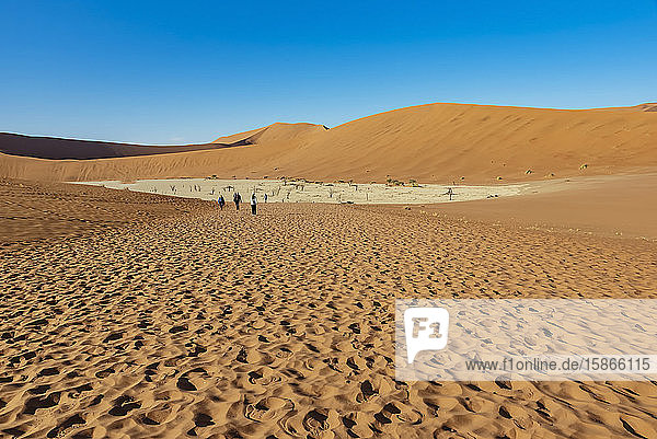 Touristen in den Sanddünen bei Deadvlei  einer weißen Lehmpfanne  die von den höchsten Sanddünen der Welt umgeben ist  Namib-Wüste; Namibia