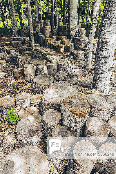 Art installation in Reford Gardens; Price Quebec Canada