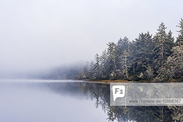 Nebel lichtet sich vor einer friedlichen Szene im Fort Stevens State Park an der Küste von Oregon; Hammond  Oregon  Vereinigte Staaten von Amerika