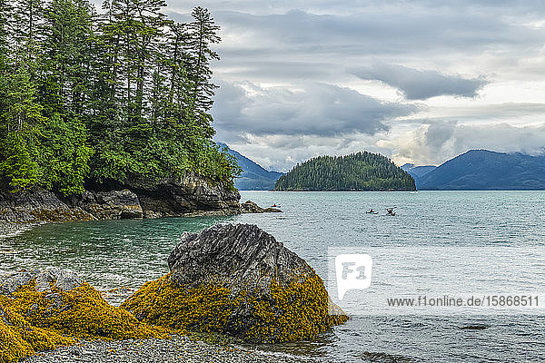 Kayakers paddling in Prince William Sound; Whittier  Alaska  United States of America