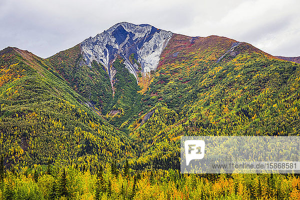 Berg mit herbstlich gefärbtem Laub gegenüber der Kennecott-Kupfermine; McCarthy  Alaska  Vereinigte Staaten von Amerika