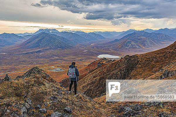Frau erkundet die Berge entlang des Dempster Highway im Herbst; Yukon  Kanada