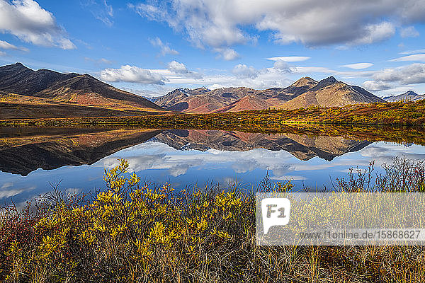 Die Herbstfarben tauchen die Landschaft entlang des Dempster Highway  Yukon  in Farbe. Ein erstaunlicher  schöner Ort zu jeder Jahreszeit  aber im Herbst wirkt er ganz anders; Yukon  Kanada