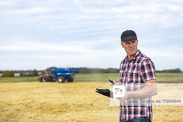 Ein Landwirt nutzt sein Tablet  um die Weizenernte zu verwalten  während im Hintergrund ein Getreidewagen arbeitet; Alcomdale  Alberta  Kanada