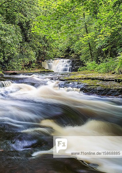 Fluss in einem Wald mit einem Wasserfall im Sommer  Langzeitbelichtung; Clare Glens  County Tipperary  Irland