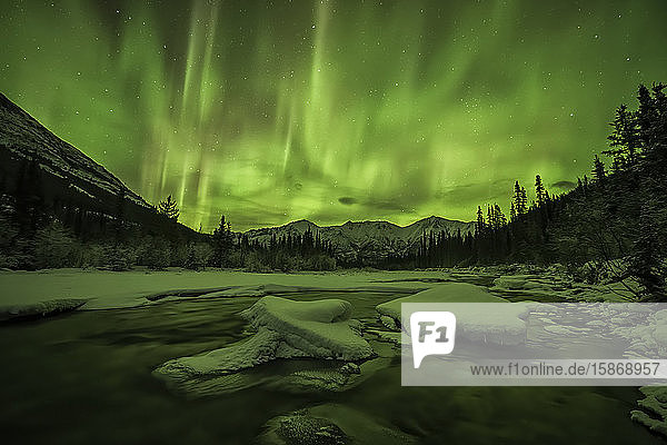 Aurora Borealis oder Nordlicht am Nachthimmel von Yukon; Yukon  Kanada