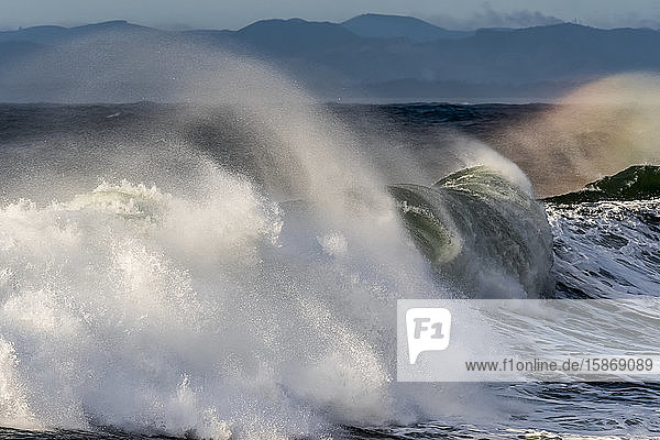 Anmutige Wellen brechen sich in Ufernähe  während das Sonnenlicht das Wasser beleuchtet; Seaside  Oregon  Vereinigte Staaten von Amerika