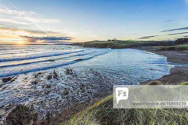 Sommersonne  die über der Bucht von Inch Beach untergeht  mit Wellen  die im Meer brechen  und Gras im Vordergrund; Grafschaft Cork  Irland