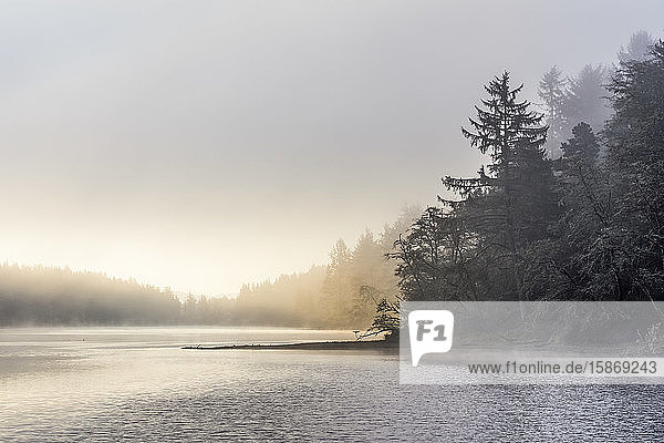 Nebel  Brise und Sonnenlicht sorgen für eine neblige Szene im Fort Stevens State Park an der Küste von Oregon; Hammond  Oregon  Vereinigte Staaten von Amerika