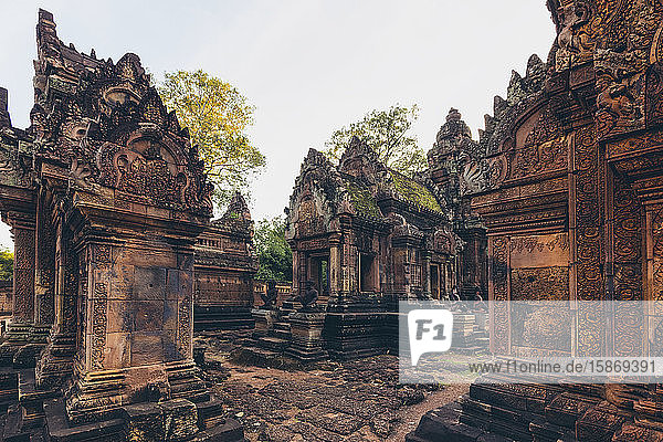 Banteay Srei Temple  Angkor Wat complex; Siem Reap  Cambodia