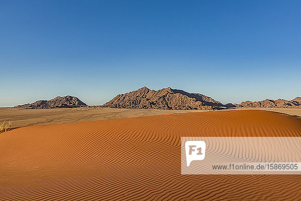 Elim-Düne  Namib-Wüste; Sesriem  Namibia
