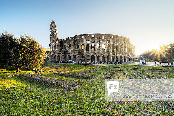 Colosseum at sunrise UNESCO World Heritage Site Rome Lazio Italy Europe